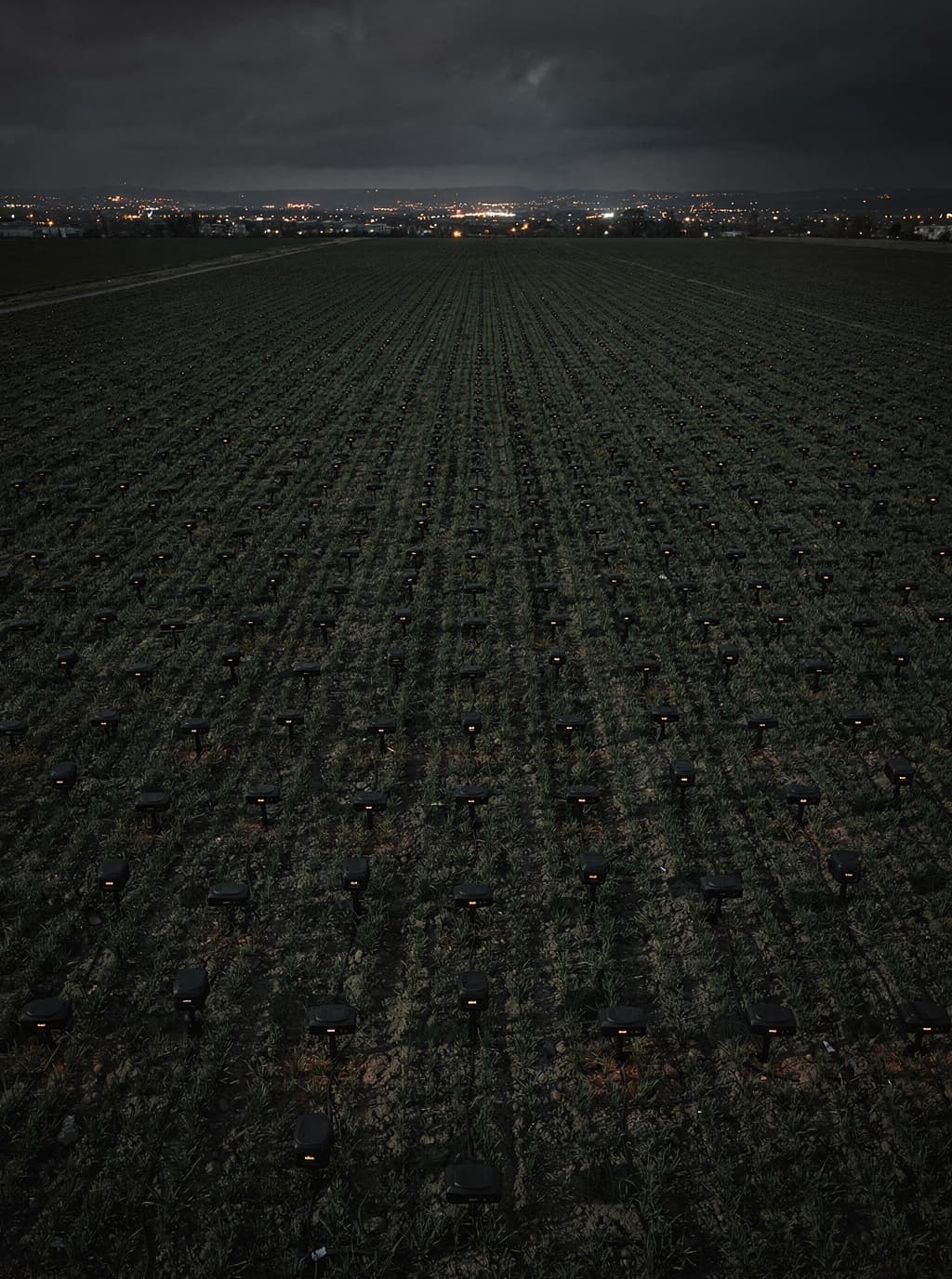 Field-deployed sensor mesh selling telemetry to agents as a metered commodity